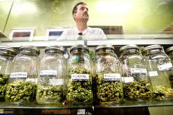 Jars of medicine at Private Organic Therapy, a medical-marijuana dispensary in Los Angeles.